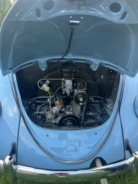 VW Garbus Oval 1954